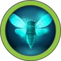 Cicada