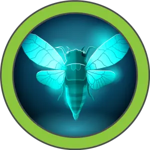 Cicada